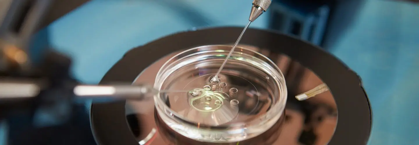 Tüp bebek Tedavisinde Tartışmalı Teknik Ko-kültür -Yapay Rahim