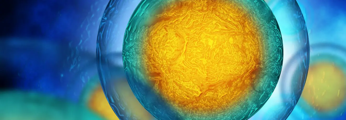 Tüp bebek nedir, kimlere uygulanır?