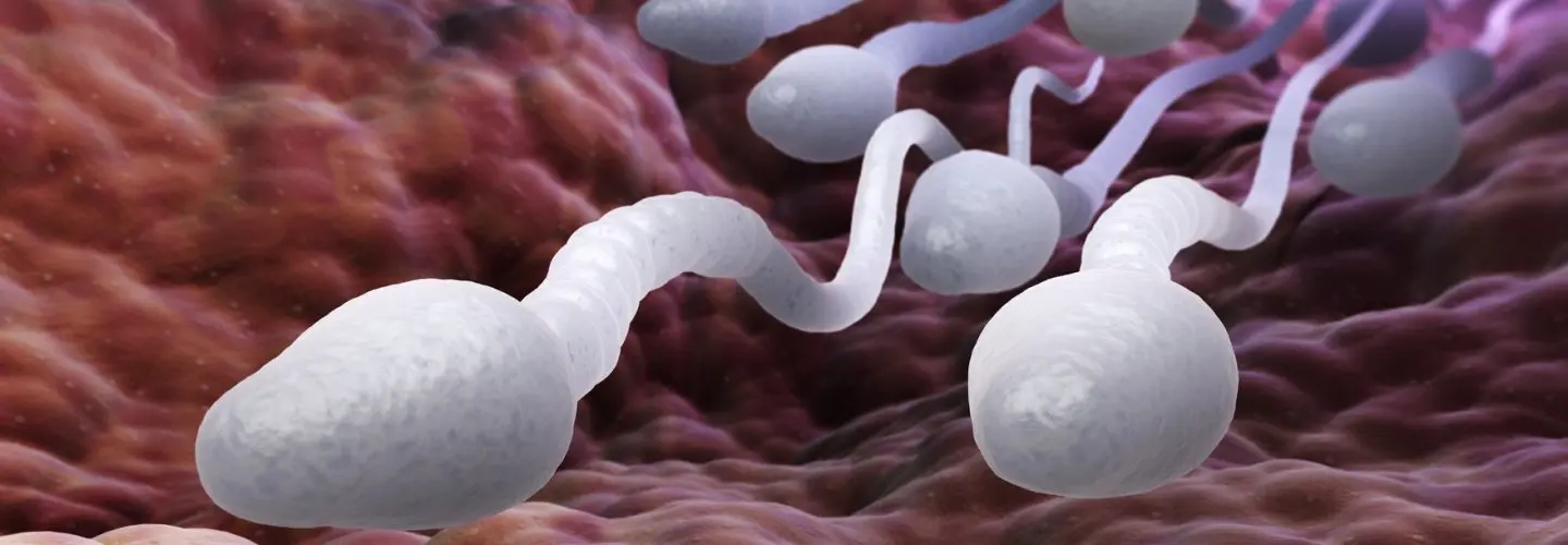 Tüp Bebek Tedavisi Esnasında Semen Analizi Nedir?