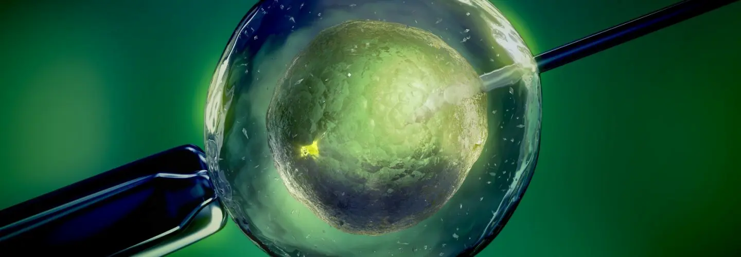 Kısırlıkta Natürel Siklusta Mikroenjeksiyon (ICSI)