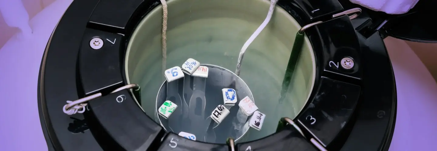 Erkekte Kısırlık Tedavisinde Cerrahi Sperm Arama TESA, TESE