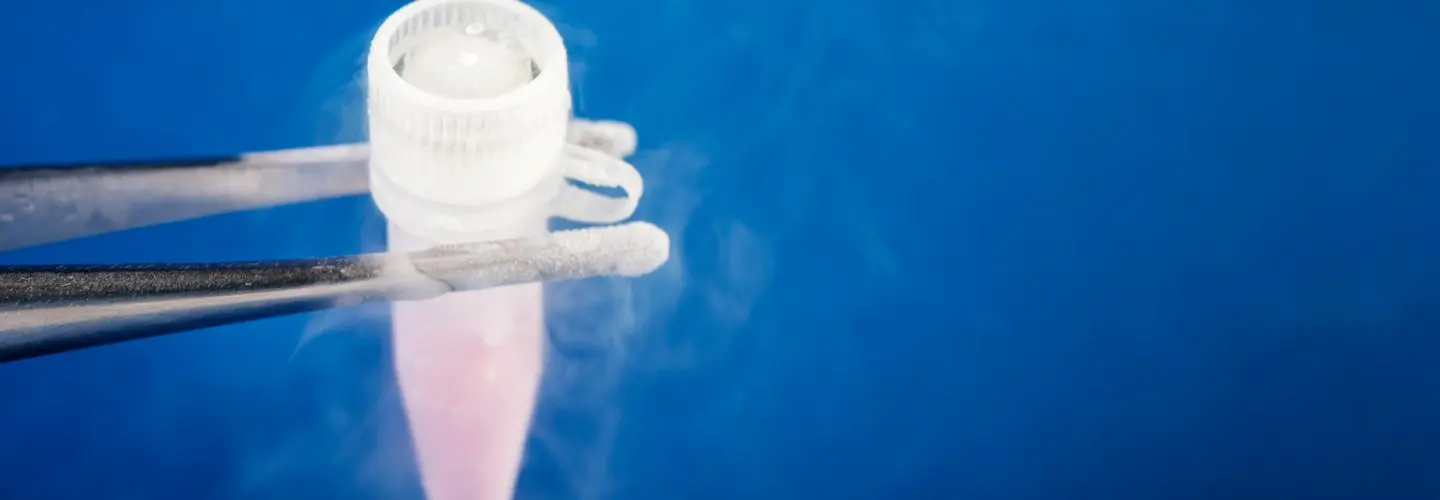 Kısırlık - İnfertilite nedir, nedenleri nelerdir?