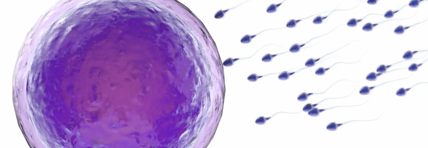 Polip Nedir? Kısırlığa Yol Açar mı?