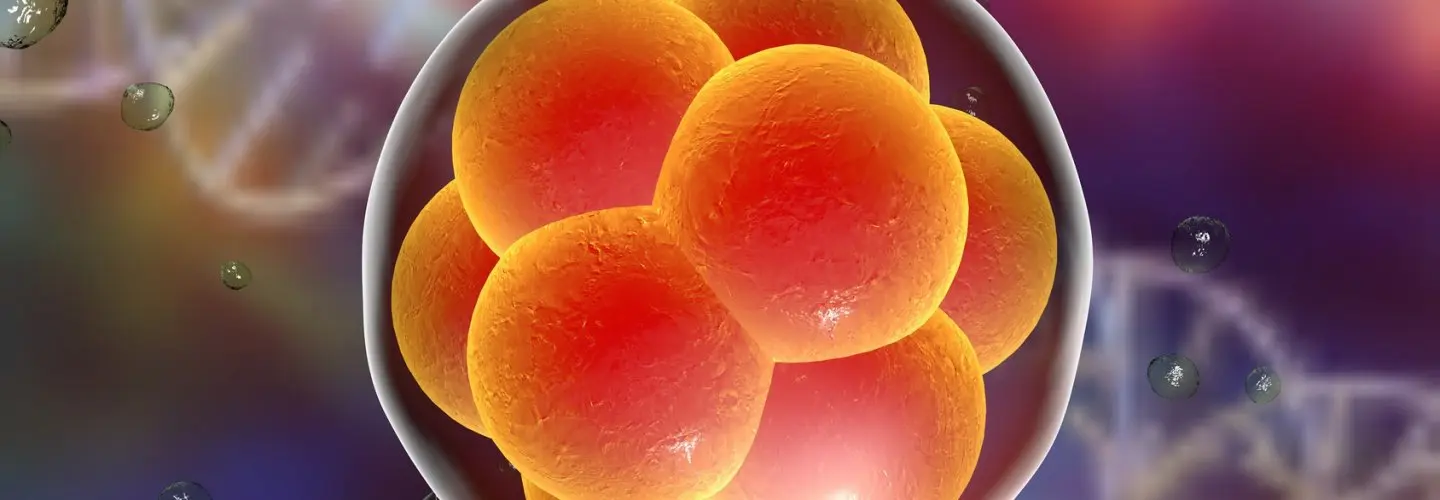 Tüp Bebek Tedavisinde Boş Folikül Sendromu