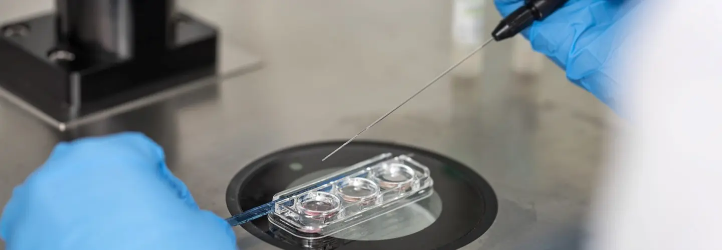 Yumurta Toplamada Genel Anestezi mi Sedasyon mu?