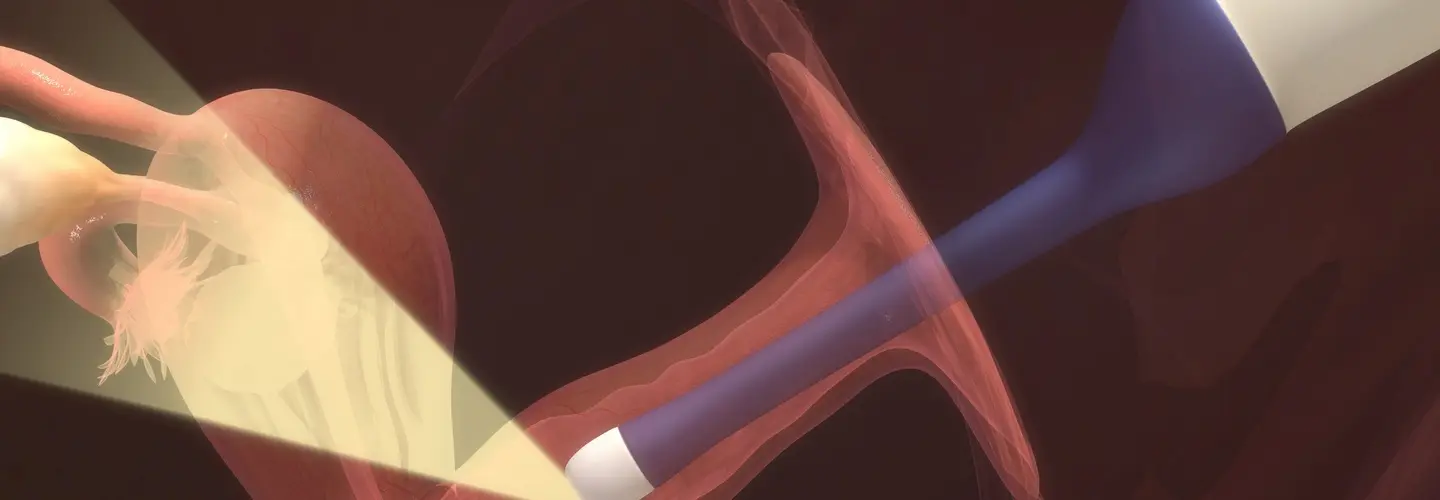 Myomlar ve Kısırlığa Dair Dr. Senai Aksoy’dan A’dan Z’ye Rehber