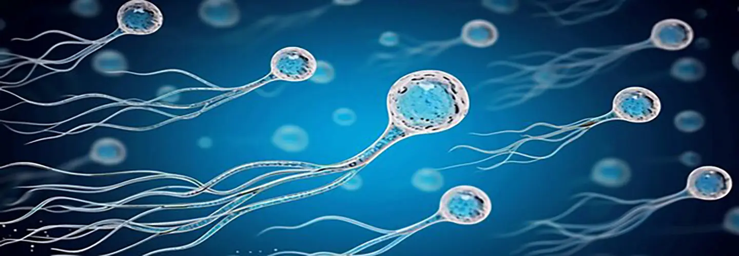 Dr. Senai Aksoy ile Erkek Kısırlığında Besin Takviyeleri Üzerine Sohbet. Bilmeniz Gerekenler