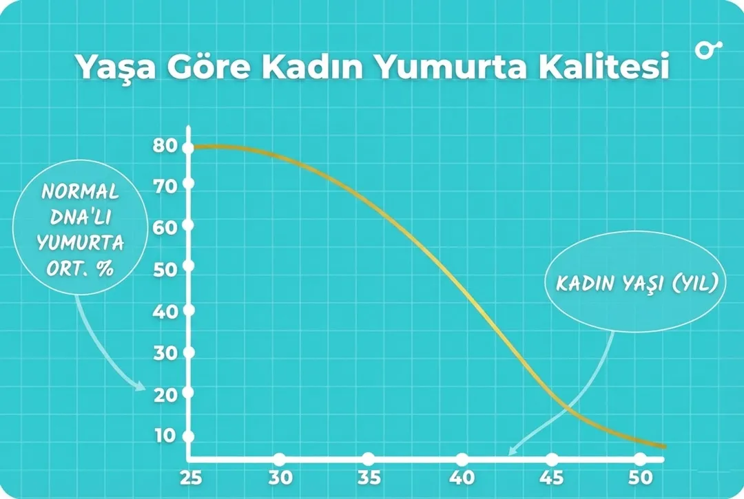 Karyotip analizi